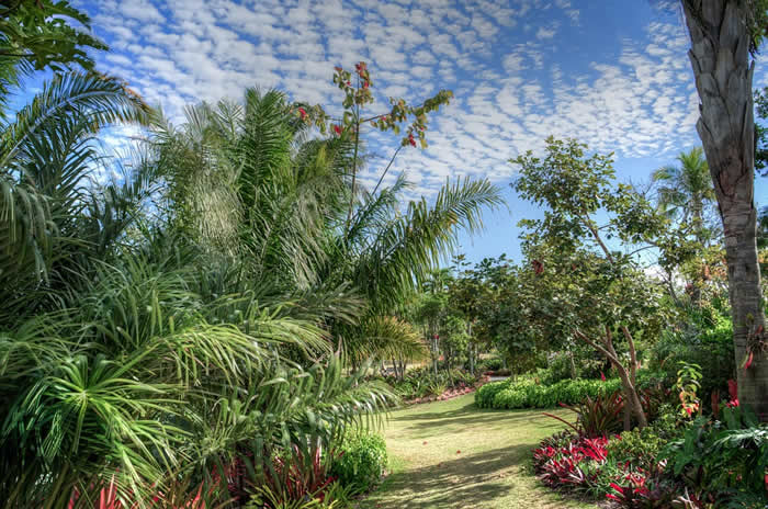 Le Jardin botanique de Naples